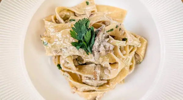 Pappardelle z kremowym sosem i kawałkami grzybów, udekorowane natką pietruszki. Pyszny makaron z grzybami.