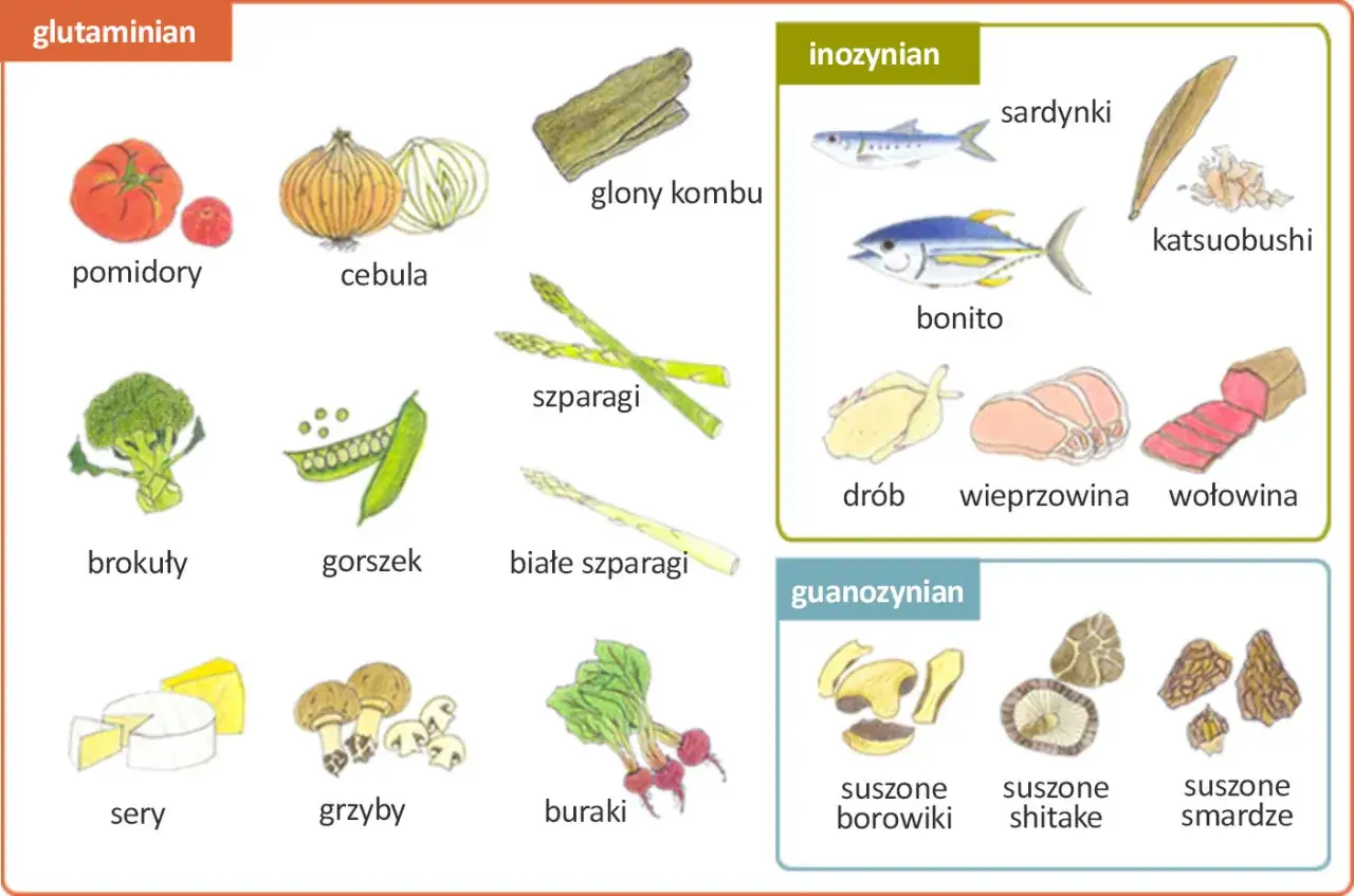 Glutaminian, inozynian i guanozynian to składniki nadające potrawom smak umami. Na ilustracji produkty bogate w te związki: pomidory, cebula, ryby, mięso, grzyby.